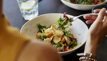 Um prato com saladas e vegetais fotografado de cima. Ao lado, uma mão segura um garfo com alguns dos alimentos.