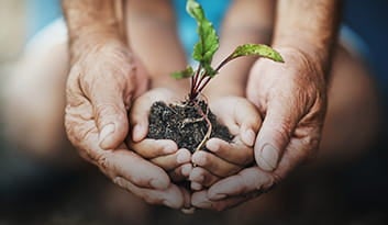 Duas mãos de um homem envolvem duas mãos menores, de criança; Juntos, eles seguram um punhado de terra com uma planta crescendo.