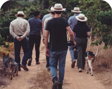 Agroempreendedorismo